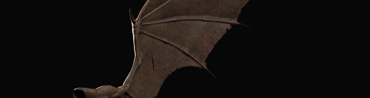 Ученые рассказали о динозавре с крыльями летучей мыши