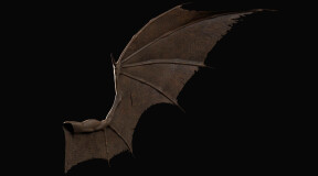 Scientists reveal dinosaur with bat wings