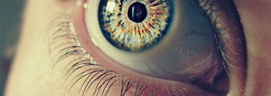 It Takes Just an Eye Exam: Scientists Find a Way to Diagnose Alzheimer Disease at Early Stages