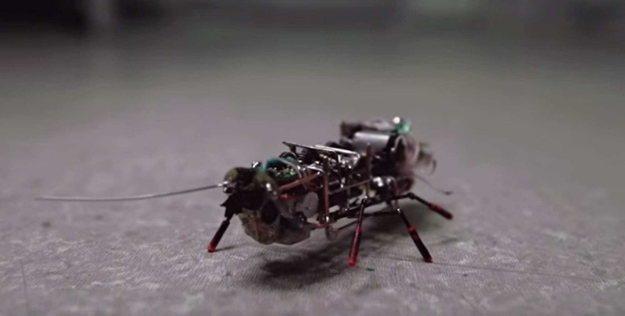 Cockroach Robots Get Their Team Spirit Hitecher