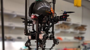 Leonardo: A bird-like robot