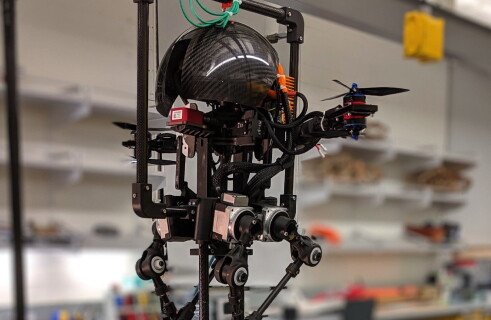 Leonardo: A bird-like robot
