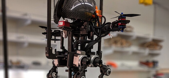 Leonardo: A bird-like robot