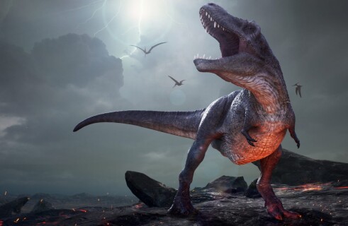 Ученые выяснили, как выглядели предки тираннозавров