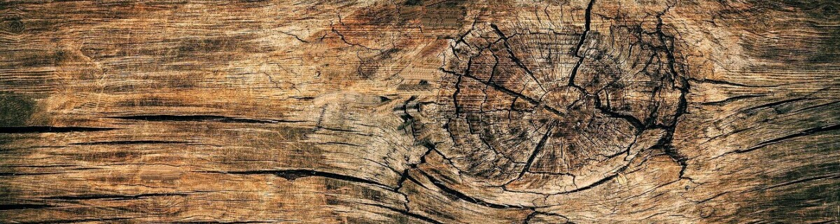 Swedish scientists learn to use wood for printing