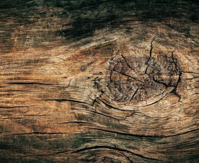 Swedish scientists learn to use wood for printing