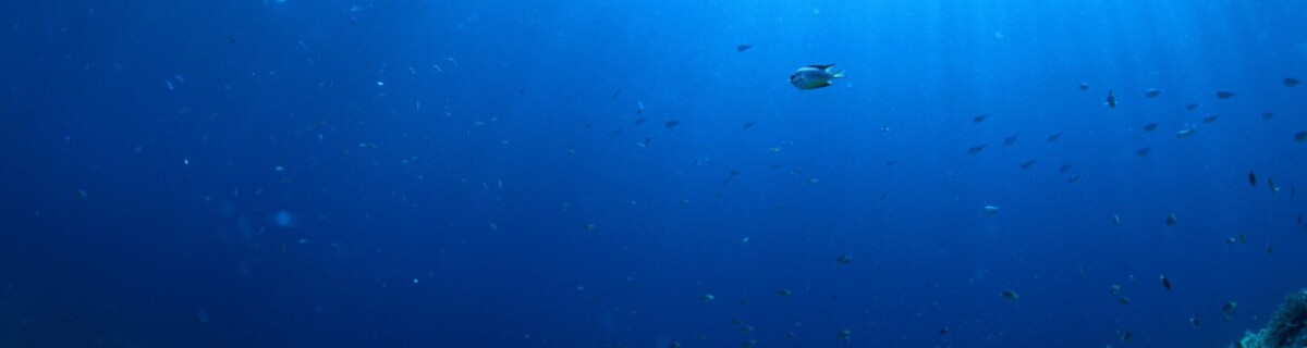 Arsenic breathing microbe discovered in the Pacific Ocean