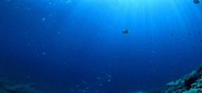Arsenic breathing microbe discovered in the Pacific Ocean