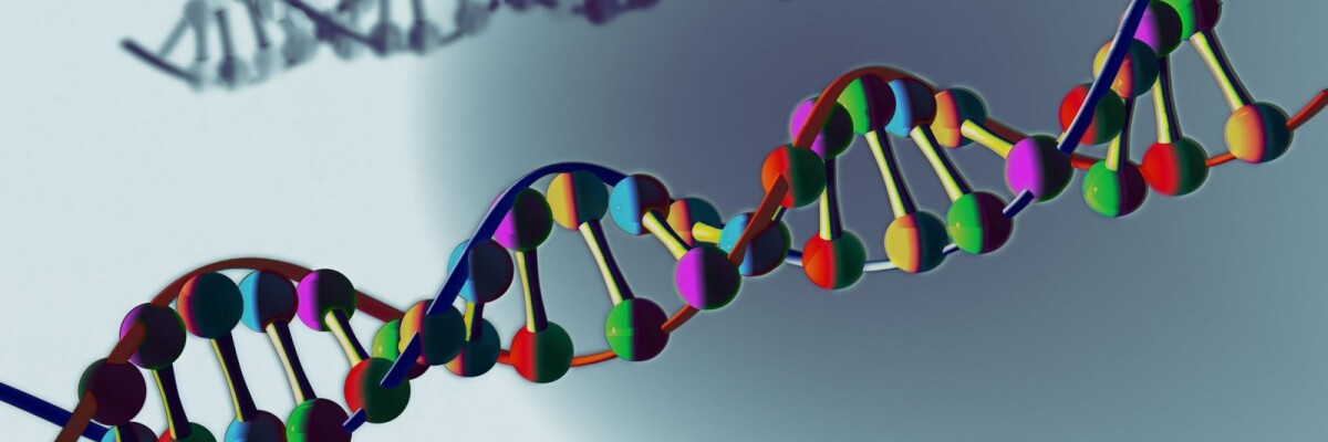 Gene of DNA – the most comprehensive model