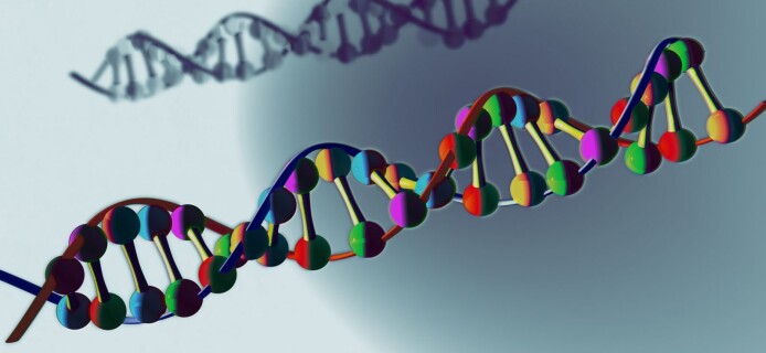 Gene of DNA – the most comprehensive model