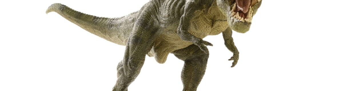 Researchers demonstrate avian tyrannosaurus