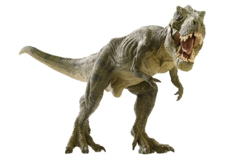 Ученые показали пернатых тираннозавров