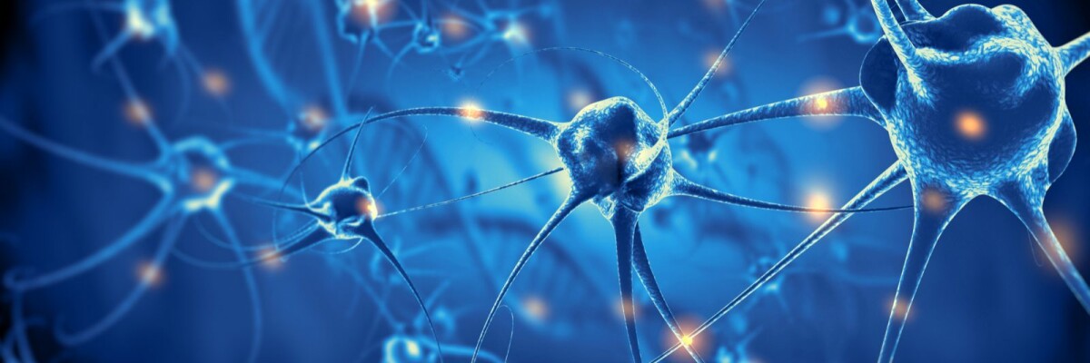 Работа нервной системы была впервые запечатлена на видео