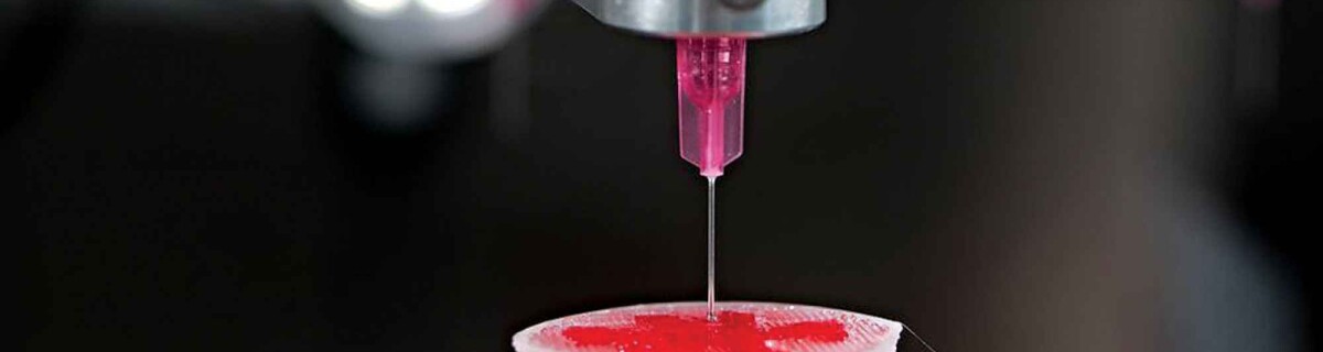 Ученые напечатали орган, не пользуясь каркасом