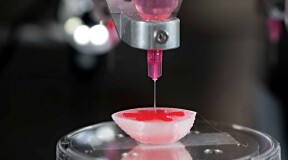 Researcher print an organ without using a frame