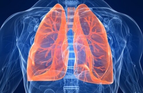 Сильный грипп приводит к появлению вкусовых рецепторов в легких