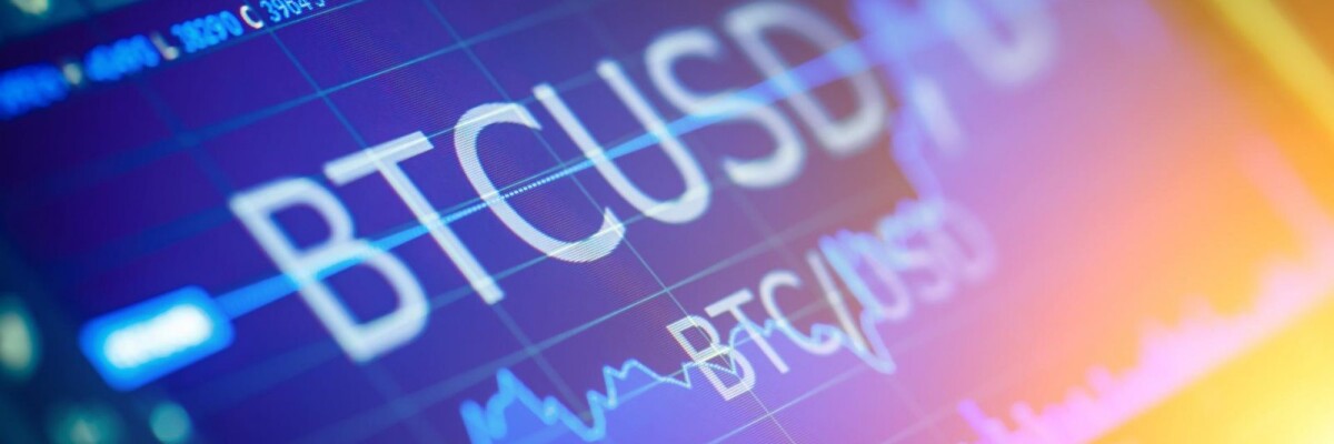 Cryptocurrency Market Review — November 19