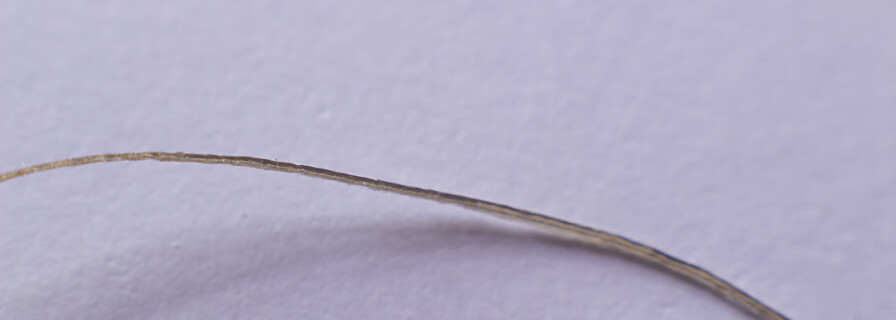 Now a single hair is enough to identify anyone 