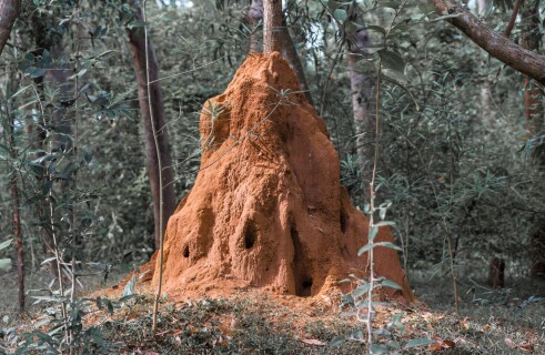 House modeled after termite mounds built in Africa