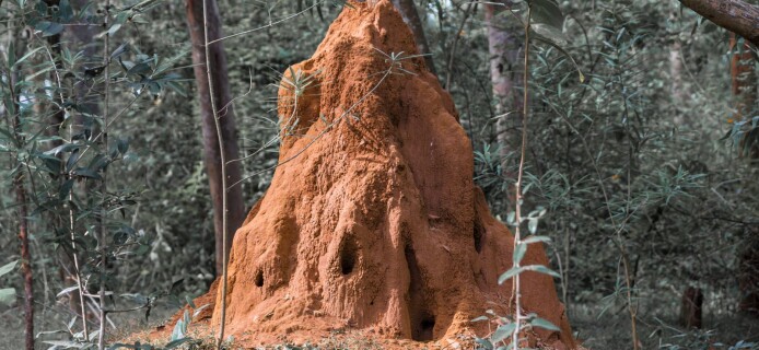 House modeled after termite mounds built in Africa