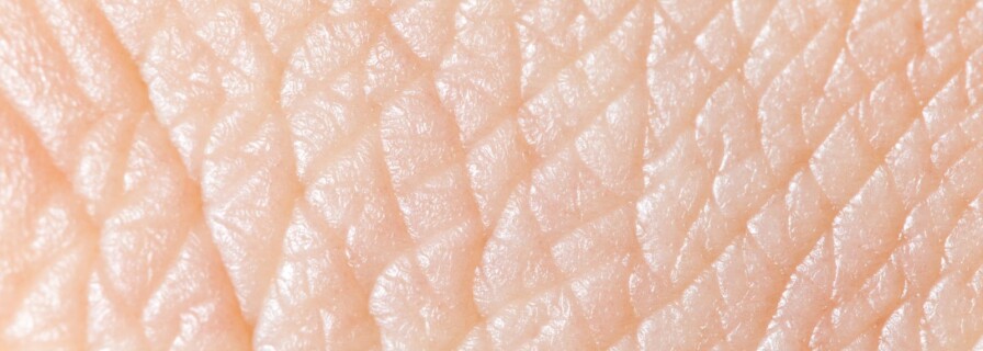 Complete skin regeneration with transgenic stem cells
