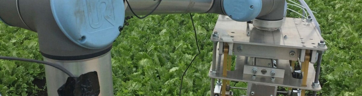 Сельскохозяйственный робот Vegebot трудится на британских грядках