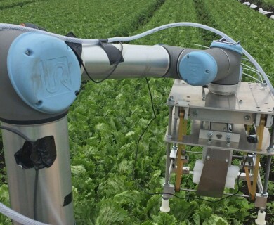 Vegebot Agricultural Robot Working on British Garden Beds