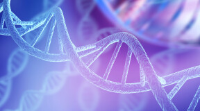 В человеческой ДНК найдены следы двух неизвестных науке предков