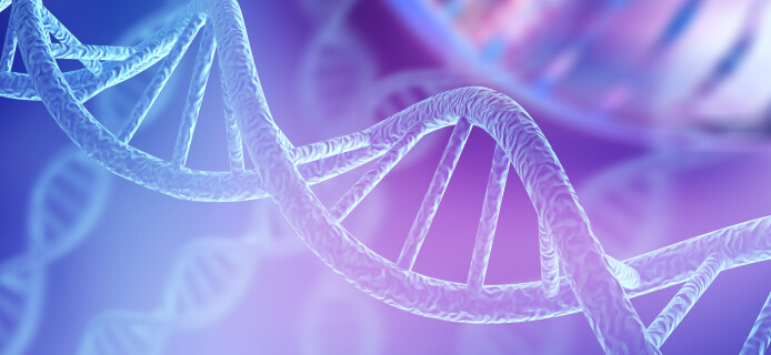 Two traces of unknown ancestors were discovered in human DNA