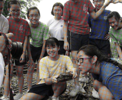 Black and white or color: new viral optical illusion baffles the Internet