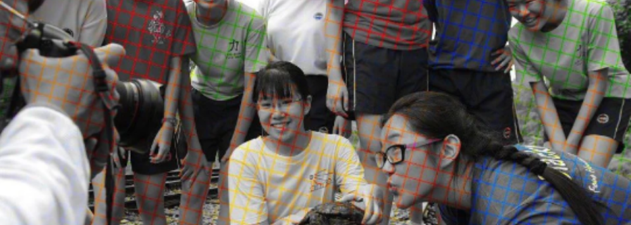 Black and white or color: new viral optical illusion baffles the Internet