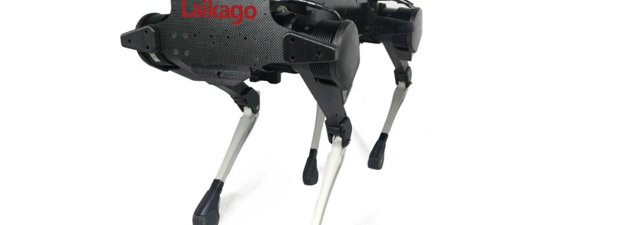 New artificial sled dog created in China