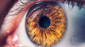Orion implant will restore eyesight for vision impaired patients 
