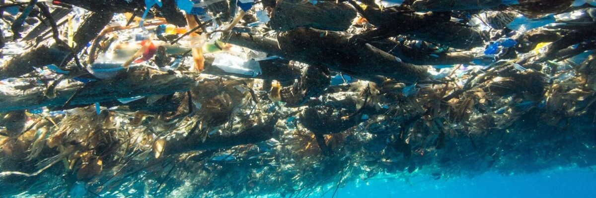 Как очистить мировой океан?