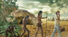 How Neanderthals are linked to surfing?