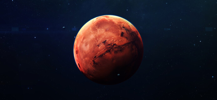 Why would Elon Musk suggest bombing Mars?