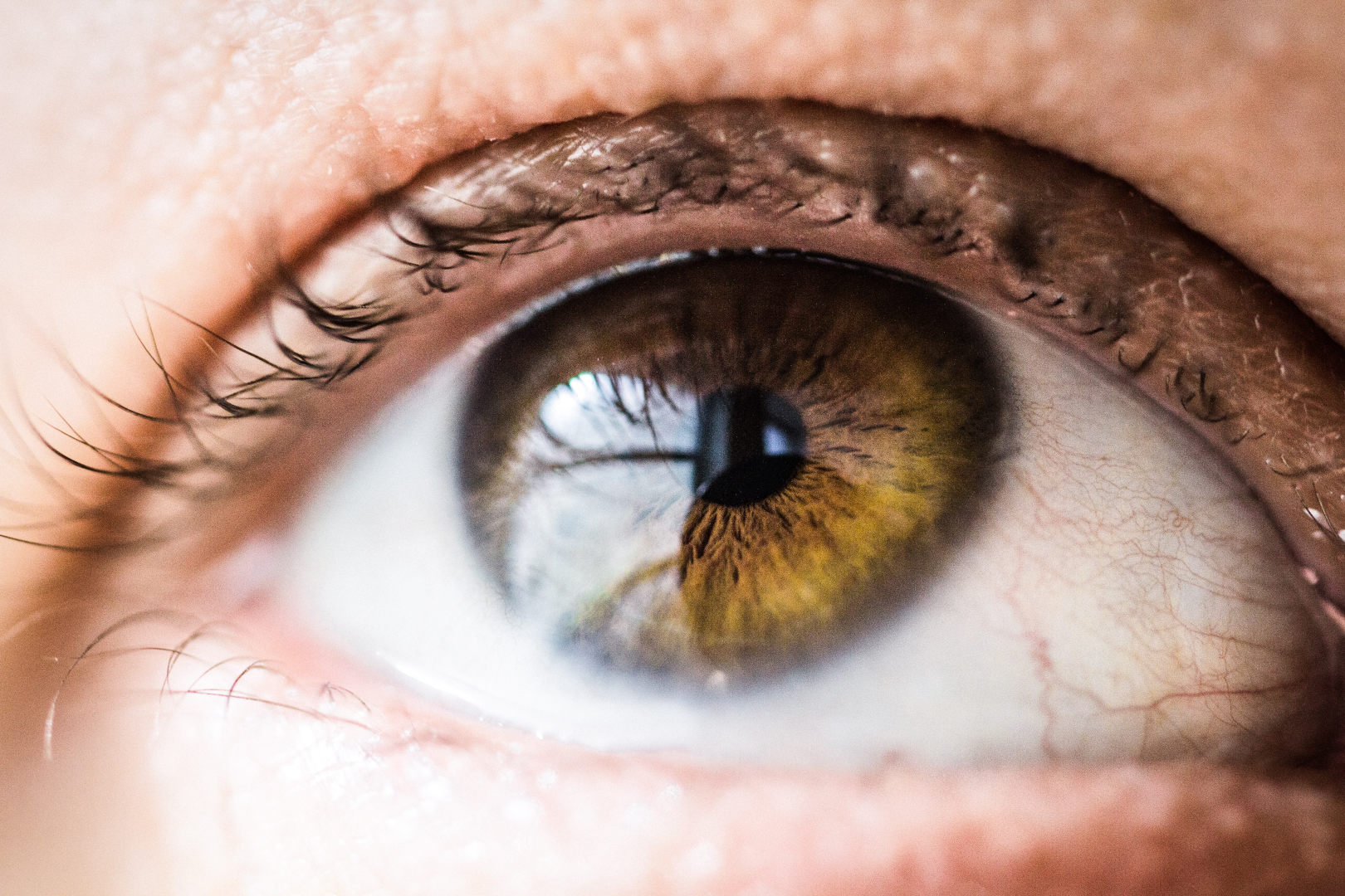 Scientists pioneer transplantation of cornea made from stem cells ...