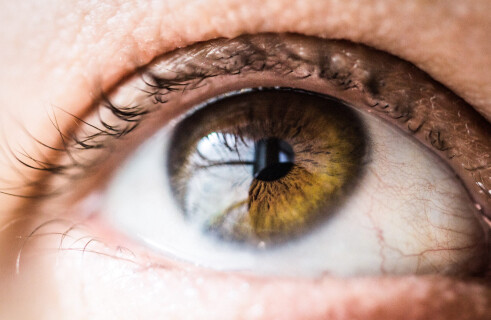 Scientists pioneer transplantation of cornea made from stem cells