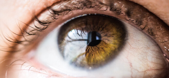 Scientists pioneer transplantation of cornea made from stem cells
