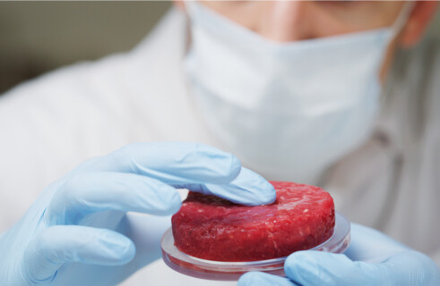 Grocery giant Tyson Foods invests in artificial meat manufacturing 