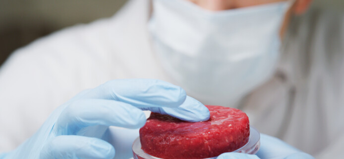 Продовольственный гигант Tyson Foods инвестирует в производство искусственного мяса
