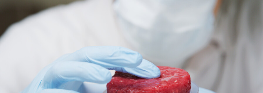 Grocery giant Tyson Foods invests in artificial meat manufacturing 