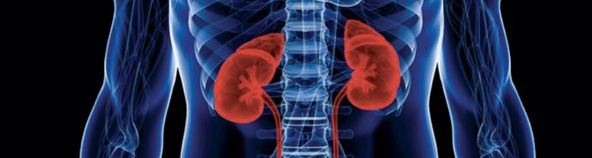 New medication will treat polycystic kidney disease
