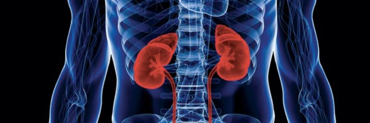New medication will treat polycystic kidney disease