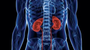 New medication will treat polycystic kidney disease