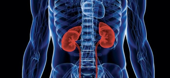 New medication will treat polycystic kidney disease