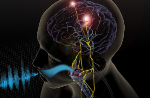 Алгоритм Brain2Char переводит мозговую активность в текст