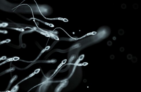 A Case of Hereditary Transmission of Autism Recorded