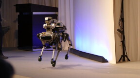 Робот Spot официально поступил в продажу