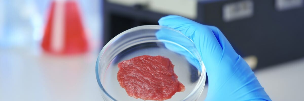 Aleph Farms grows meat on ISS for the first time